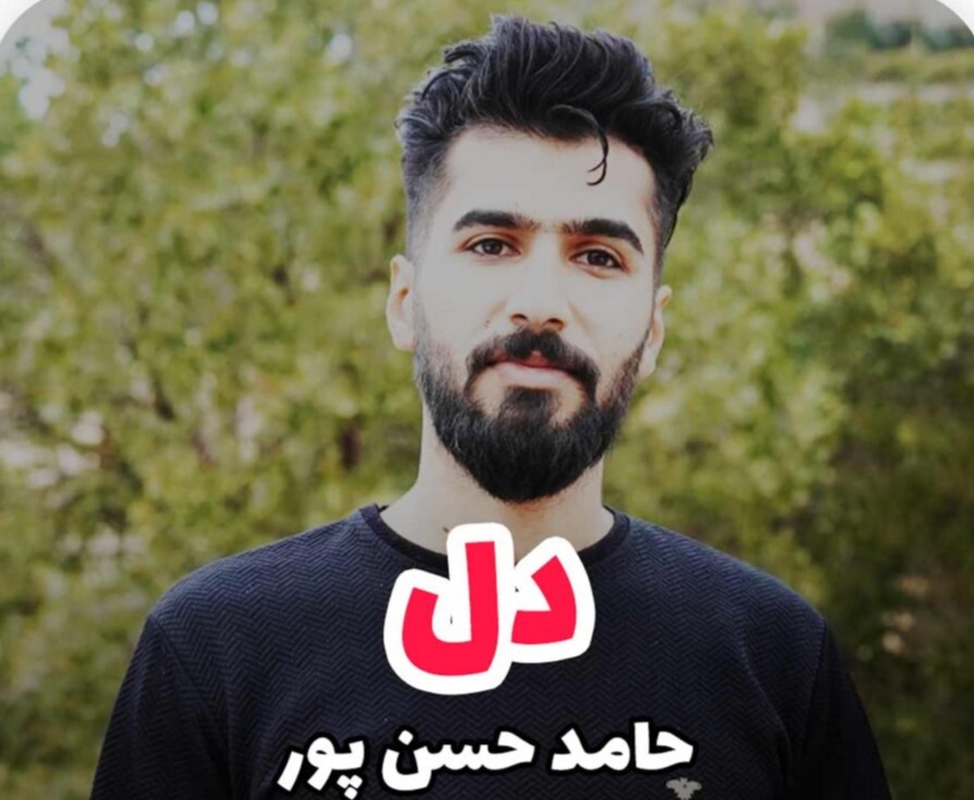 حامد حسن پور دل